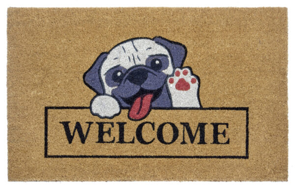 Dörrmatta Kokos - Welcome & Dog 45x70 - Bild 5