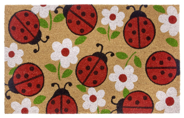 Dörrmatta - Kokos Lady Beetle 45x75 - Bild 2
