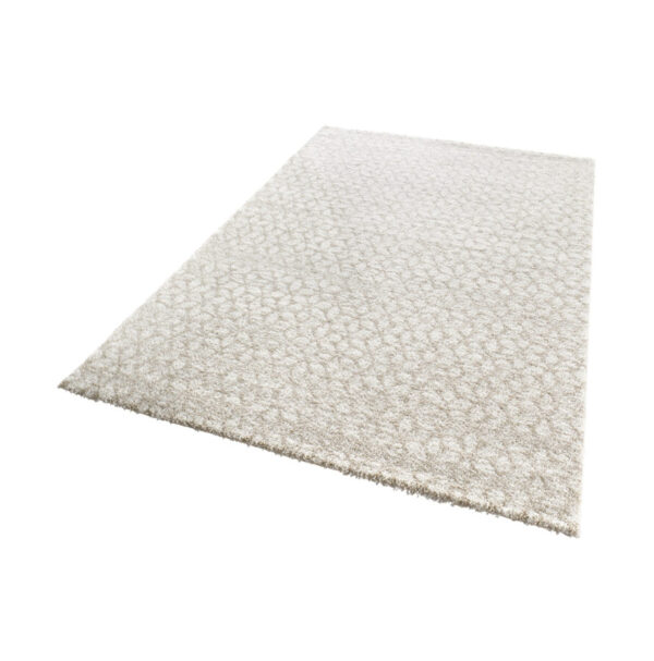 Stella Impress - Beige-brun - Bild 4