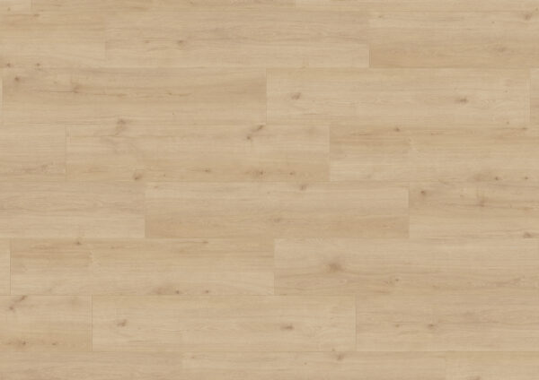 Trendy Laminera - Ek Japandi (2,518 m²)