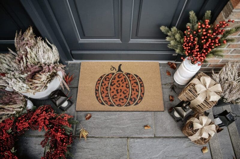 Dörrmatta Kokos - Leo Pumpkin 45x70 - Bild 2